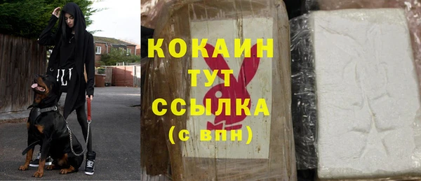 шишки Магадан