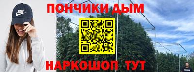 дживик Бийск