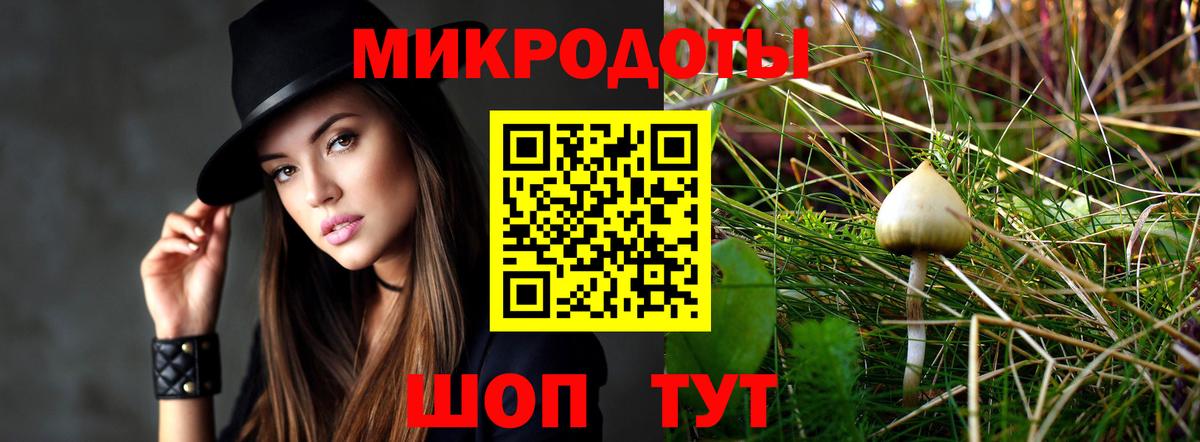 Галлюциногенные грибы мицелий  Псилоцибиновые грибы прущие грибы  Калининград 