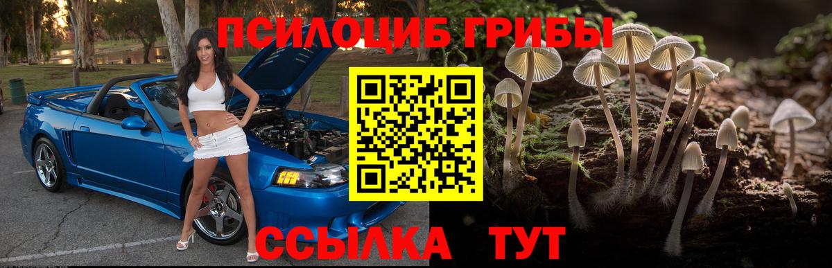 Псилоцибиновые грибы GOLDEN TEACHER  Вход с VPN  Калининград 
